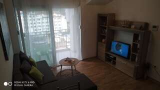 Апартаменты Lazar Apartman Биела Апартаменты с 1 спальней-4